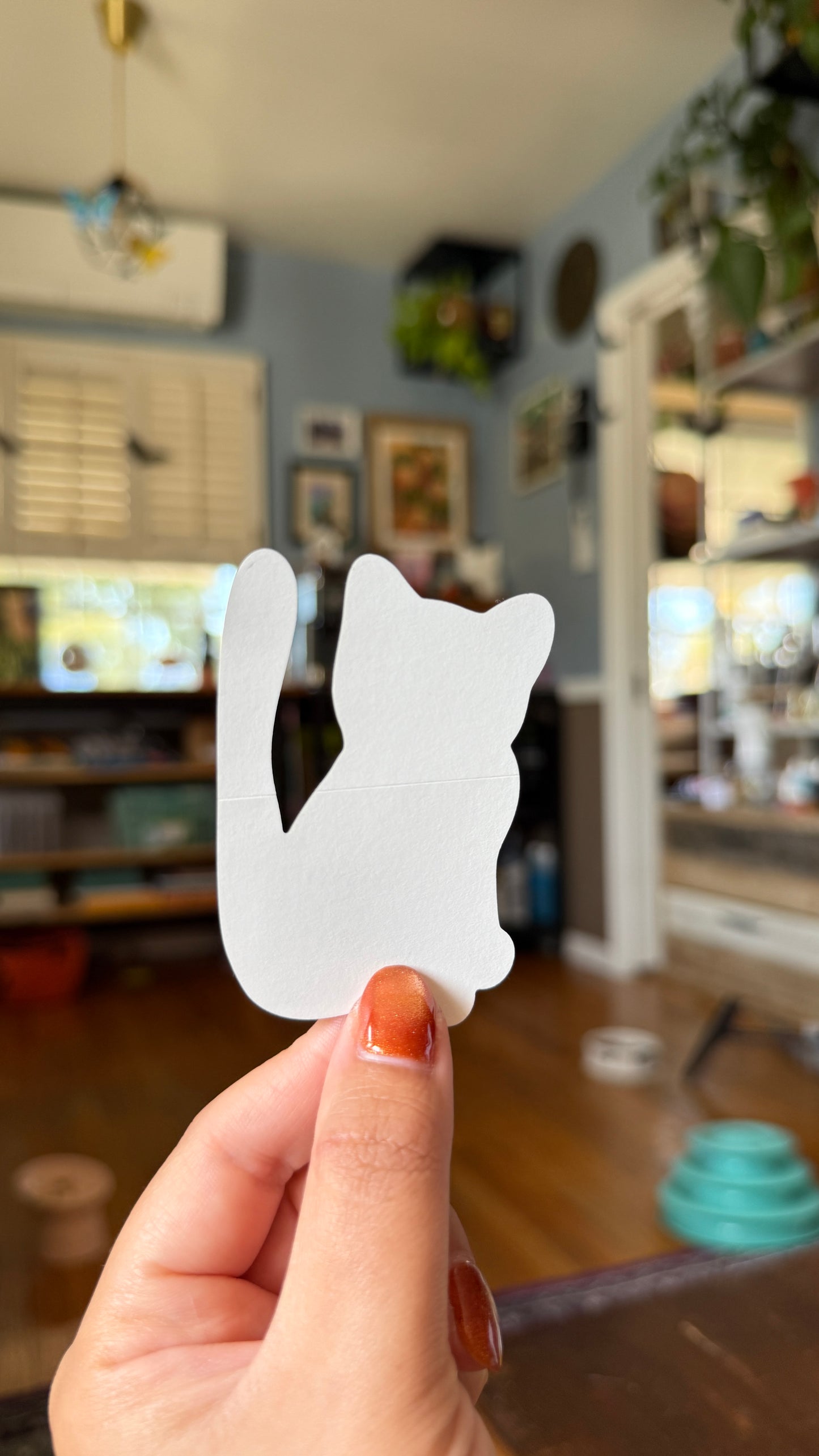 Sassy Cat Matte Sticker - Waterproof, Scratch Resistant, Dishwasher Safe, Split Back For Easy Peel! lil chonk studio