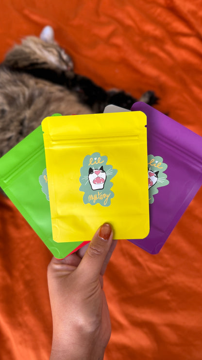 Mystery Cat Stickers, Five Pack, Glossy, Matte, Or Holographic Stickers - lil chonk studio