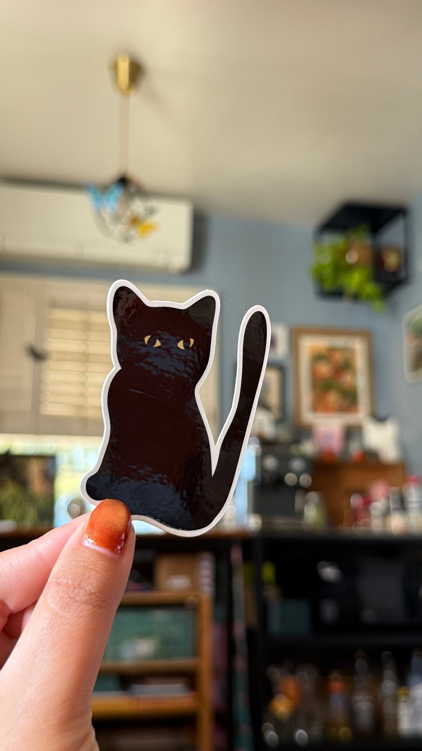 Sassy Cat Glossy Sticker - Waterproof, Scratch Resistant, Dishwasher Safe, UV Resistant, Outdoor Use, Split Back For Easy Peel! lil chonk studio