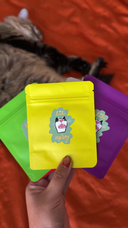 Mystery Cat Stickers, Five Pack, Glossy, Matte, Or Holographic Stickers - lil chonk studio