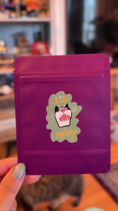 Mystery Cat Stickers, Five Pack, Glossy, Matte, Or Holographic Stickers - lil chonk studio